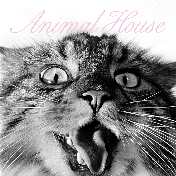 Animal House | Tory Burch